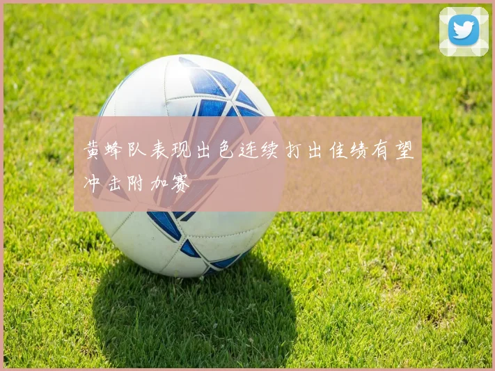 黄蜂队表现出色连续打出佳绩有望冲击附加赛