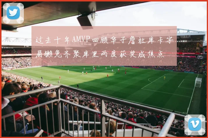 过去十年AMVP回顾华子詹杜库卡字眉獭兔齐聚库里两度获奖成焦点